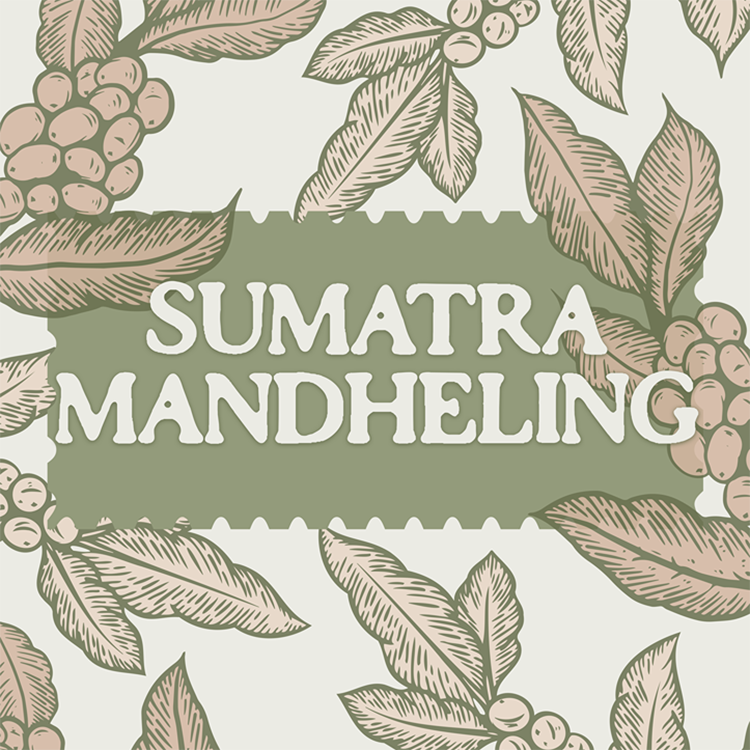 Sumatra Mandheling Single Origin
