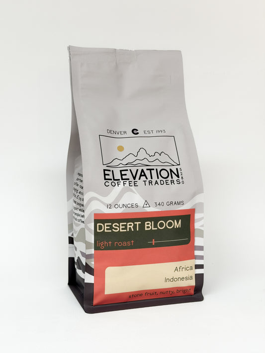 Desert Bloom