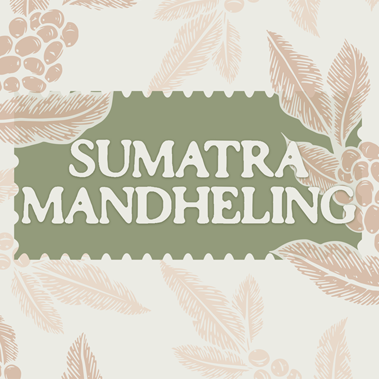 Sumatran Mandheling